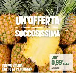 Banco Fresco Ananas offerta