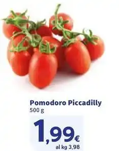 Sigma Pomodoro Piccadilly offerta