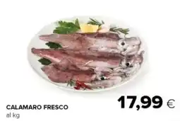 Oasi Calamaro fresco offerta