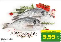 Oasi Orata 400/600 offerta