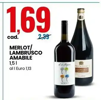 Eurospin Merlot / lambrusco amabile offerta