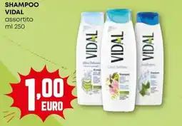 Pam Shampoo VIDAL offerta