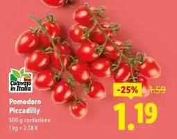 Lidl Pomodoro Piccadilly offerta
