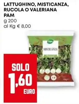 Pam Lattughino, misticanza, rucola o valeriana PAM offerta