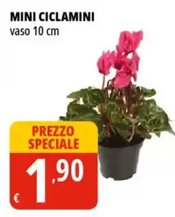 Tigros Mini ciclamini vaso 10 cm offerta