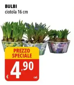 Tigros Bulbi ciotola 16 cm offerta