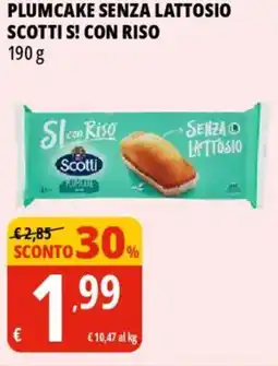 Tigros Plumcake senza lattosio SCOTTI S! CON RISO offerta