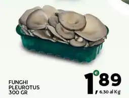 Extra Supermercati Funghi pleurotus offerta