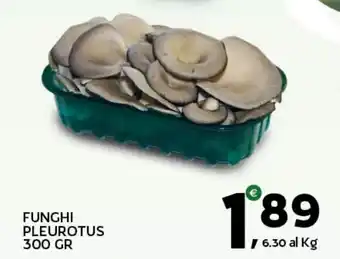 Extra Supermercati Funghi pleurotus offerta
