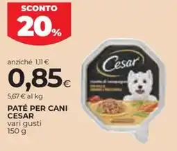 Coop Paté per cani CESAR offerta