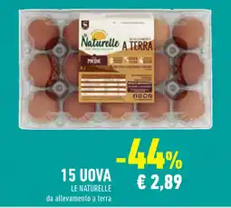 Conad Superstore 15 uova LE NATURELLE da allevamento a terra offerta