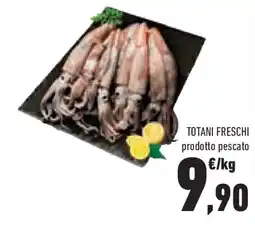 Conad Superstore Totani freschi offerta