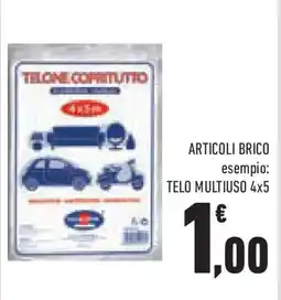 Conad Superstore Articoli brico telo multiuso offerta