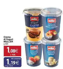 Docks Cash&Carry Crema di Yogurt MULLER offerta