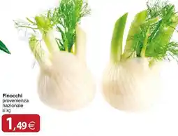 Docks Cash&Carry Finocchi offerta