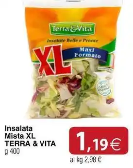 Docks Cash&Carry Insalata Mista XL TERRA & VITA offerta