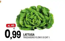 Al Discount Lattuga offerta