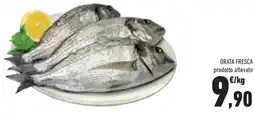 Conad Superstore Orata fresca offerta