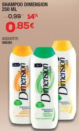 Bricofer Shampoo DIMENSION offerta