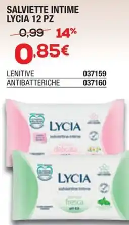 Bricofer Salviette intime LYCIA offerta