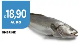 Ekom Ombrine offerta