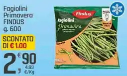Supermercati Dok Fagiolini Primavera FINDUS offerta