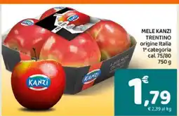 Conad MELE KANZI TRENTINO offerta