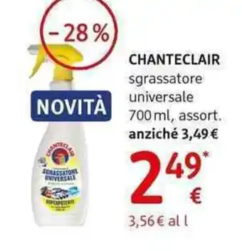 dm drogerie markt CHANTECLAIR sgrassatore universale offerta