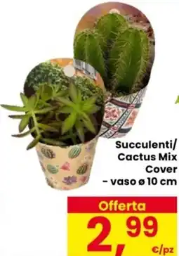 Despar Succulenti/ Cactus Mix Cover - vaso ø 10 cm offerta