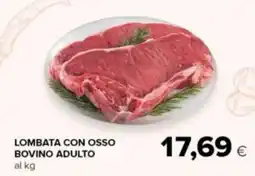 Tigre Amico Lombata con osso bovino adulto offerta