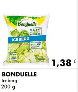 Iper Tosano BONDUELLE Iceberg offerta