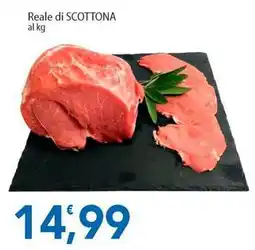 Sidis Reale di SCOTTONA offerta