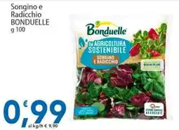 Sidis Songino e Radicchio BONDUELLE offerta
