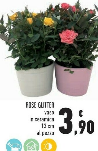 Conad Piante offerta
