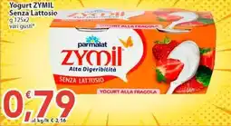 Sidis Yogurt ZYMIL Senza Lattosio offerta