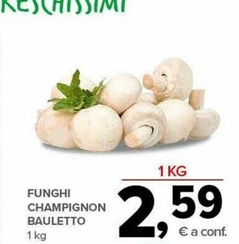 Todis Funghi champignon offerta