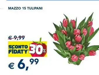 Esselunga Fiori da giardino offerta