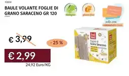 Prezzemolo e Vitale Baule volante foglie di grano saraceno offerta
