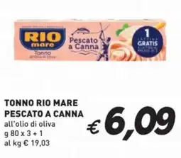 Coal Tonno rio mare pescato a canna all'olio di oliva offerta