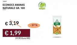 Prezzemolo e Vitale Econoce ananas naturale offerta