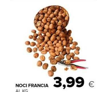 Tigre Noci offerta