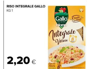Tigre Riso offerta