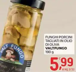 Crai Funghi porcini tagliati in olio di oliva VALTFUNGO offerta