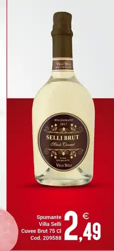 Centro Cash Spumante Villa Selli Cuvee Brut offerta