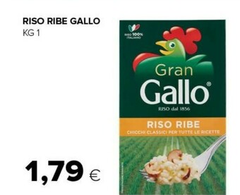 Tigre Riso offerta