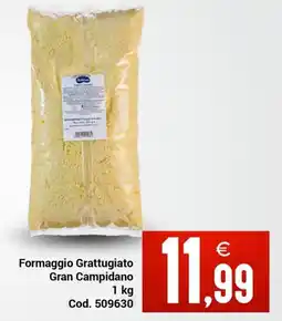 Centro Cash Formaggio Grattugiato Gran Campidano offerta