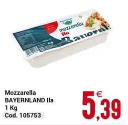 Centro Cash Mozzarella BAYERNLAND lla offerta