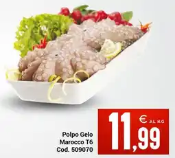 Centro Cash Polpo Gelo Marocco T6 offerta