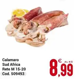 Centro Cash Calamaro Sud Africa Rete M 15-20 offerta