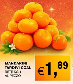 D'Italy Mandarini tardivi coal offerta
